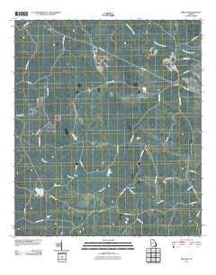 Pineland Georgia Historical topographic map, 1:24000 scale, 7.5 X 7.5 Minute, Year 2011