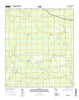 Pineland Georgia Current topographic map, 1:24000 scale, 7.5 X 7.5 Minute, Year 2014
