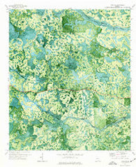 Pineland Georgia Historical topographic map, 1:24000 scale, 7.5 X 7.5 Minute, Year 1971