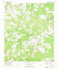 Pineview East Georgia Historical topographic map, 1:24000 scale, 7.5 X 7.5 Minute, Year 1972