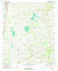 Pineview NW Georgia Historical topographic map, 1:24000 scale, 7.5 X 7.5 Minute, Year 1971