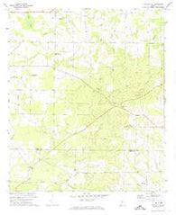 Pineview SW Georgia Historical topographic map, 1:24000 scale, 7.5 X 7.5 Minute, Year 1971