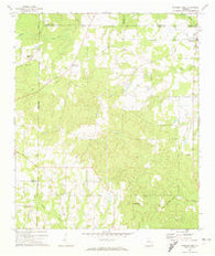 Pineview West Georgia Historical topographic map, 1:24000 scale, 7.5 X 7.5 Minute, Year 1971