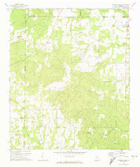 Pineview West Georgia Historical topographic map, 1:24000 scale, 7.5 X 7.5 Minute, Year 1971
