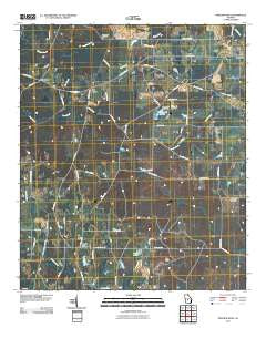 Pineview West Georgia Historical topographic map, 1:24000 scale, 7.5 X 7.5 Minute, Year 2011