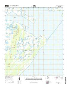 Raccoon Key Georgia Current topographic map, 1:24000 scale, 7.5 X 7.5 Minute, Year 2014