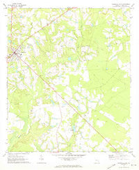 Reidsville East Georgia Historical topographic map, 1:24000 scale, 7.5 X 7.5 Minute, Year 1970