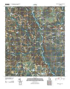 Reidsville West Georgia Historical topographic map, 1:24000 scale, 7.5 X 7.5 Minute, Year 2011