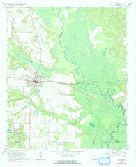 Reynolds Georgia Historical topographic map, 1:24000 scale, 7.5 X 7.5 Minute, Year 1971