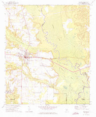 Reynolds Georgia Historical topographic map, 1:24000 scale, 7.5 X 7.5 Minute, Year 1971