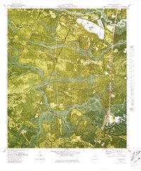 Riceboro Georgia Historical topographic map, 1:24000 scale, 7.5 X 7.5 Minute, Year 1980