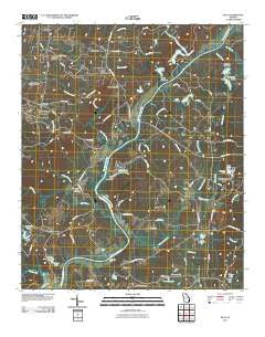 Rico Georgia Historical topographic map, 1:24000 scale, 7.5 X 7.5 Minute, Year 2011