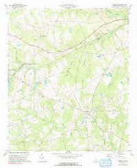 Riddleville Georgia Historical topographic map, 1:24000 scale, 7.5 X 7.5 Minute, Year 1973