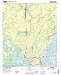 Ridgeville Georgia Historical topographic map, 1:24000 scale, 7.5 X 7.5 Minute, Year 1993