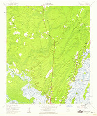 Ridgeville Georgia Historical topographic map, 1:24000 scale, 7.5 X 7.5 Minute, Year 1954