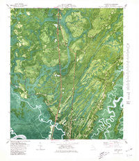 Ridgeville Georgia Historical topographic map, 1:24000 scale, 7.5 X 7.5 Minute, Year 1980