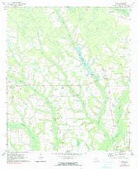 Ritch Georgia Historical topographic map, 1:24000 scale, 7.5 X 7.5 Minute, Year 1971