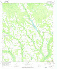 Ritch Georgia Historical topographic map, 1:24000 scale, 7.5 X 7.5 Minute, Year 1971