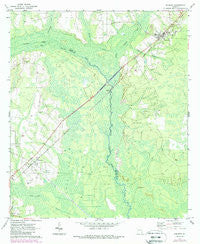 Screven Georgia Historical topographic map, 1:24000 scale, 7.5 X 7.5 Minute, Year 1971