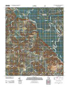 Shell Bluff Landing Georgia Historical topographic map, 1:24000 scale, 7.5 X 7.5 Minute, Year 2011