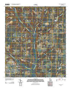 Shellman Georgia Historical topographic map, 1:24000 scale, 7.5 X 7.5 Minute, Year 2011