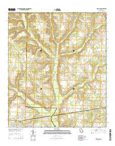 Shellman Georgia Current topographic map, 1:24000 scale, 7.5 X 7.5 Minute, Year 2014