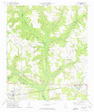 Shellman Georgia Historical topographic map, 1:24000 scale, 7.5 X 7.5 Minute, Year 1972