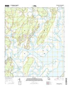 Shellman Bluff Georgia Current topographic map, 1:24000 scale, 7.5 X 7.5 Minute, Year 2014