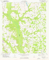 Smithville East Georgia Historical topographic map, 1:24000 scale, 7.5 X 7.5 Minute, Year 1973