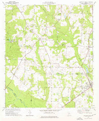 Smithville West Georgia Historical topographic map, 1:24000 scale, 7.5 X 7.5 Minute, Year 1973