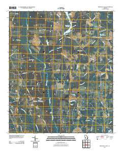 Smithville East Georgia Historical topographic map, 1:24000 scale, 7.5 X 7.5 Minute, Year 2011
