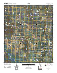 Smithville West Georgia Historical topographic map, 1:24000 scale, 7.5 X 7.5 Minute, Year 2011