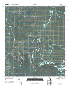 Strange Island Georgia Historical topographic map, 1:24000 scale, 7.5 X 7.5 Minute, Year 2011