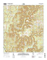 Tarversville Georgia Current topographic map, 1:24000 scale, 7.5 X 7.5 Minute, Year 2014