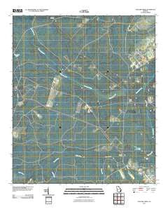 Taylors Creek Georgia Historical topographic map, 1:24000 scale, 7.5 X 7.5 Minute, Year 2011