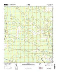 Taylors Creek Georgia Current topographic map, 1:24000 scale, 7.5 X 7.5 Minute, Year 2014