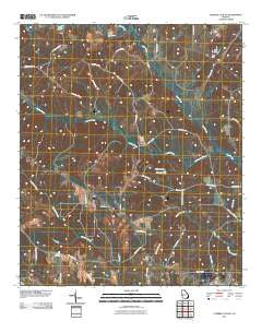 Tazewell South Georgia Historical topographic map, 1:24000 scale, 7.5 X 7.5 Minute, Year 2011