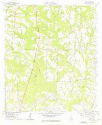 Tempy Georgia Historical topographic map, 1:24000 scale, 7.5 X 7.5 Minute, Year 1974