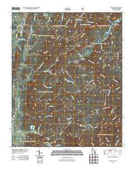 Tennga Georgia Historical topographic map, 1:24000 scale, 7.5 X 7.5 Minute, Year 2011
