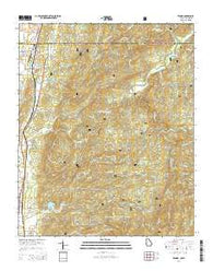 Tennga Georgia Current topographic map, 1:24000 scale, 7.5 X 7.5 Minute, Year 2014