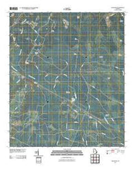 Thalmann Georgia Historical topographic map, 1:24000 scale, 7.5 X 7.5 Minute, Year 2011