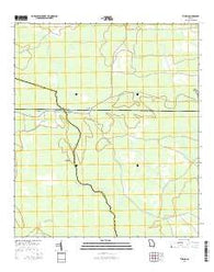 Thelma Georgia Current topographic map, 1:24000 scale, 7.5 X 7.5 Minute, Year 2014