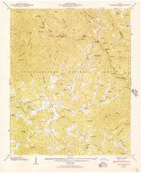 Tickanetley Georgia Historical topographic map, 1:24000 scale, 7.5 X 7.5 Minute, Year 1946