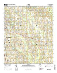 Tifton East Georgia Current topographic map, 1:24000 scale, 7.5 X 7.5 Minute, Year 2014