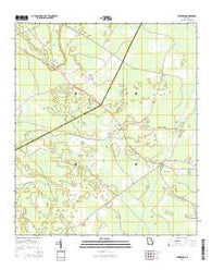 Townsend Georgia Current topographic map, 1:24000 scale, 7.5 X 7.5 Minute, Year 2014