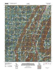 Trenton Georgia Historical topographic map, 1:24000 scale, 7.5 X 7.5 Minute, Year 2011