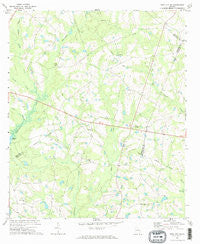 Twin City SE Georgia Historical topographic map, 1:24000 scale, 7.5 X 7.5 Minute, Year 1971
