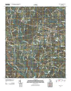 Twin City Georgia Historical topographic map, 1:24000 scale, 7.5 X 7.5 Minute, Year 2011