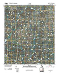 Twin City SE Georgia Historical topographic map, 1:24000 scale, 7.5 X 7.5 Minute, Year 2011