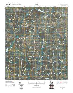 Twin City SE Georgia Historical topographic map, 1:24000 scale, 7.5 X 7.5 Minute, Year 2011